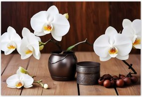 Poszterek 200x135 Fehér orchideák