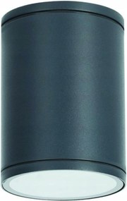 Aca Lighting E27 PAR30 kültéri kerek mennyezeti lámpa 230V sötétszürke IP6