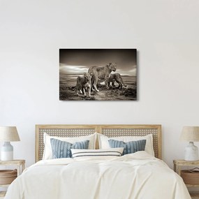 Fekete fehér tigris képe (90x60 cm)