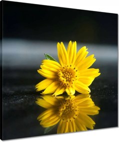 Vászonkép 50x50 Sárga virág