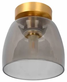 Lucide 30164/01/02 - Fürdőszobai mennyezeti lámpa TYLER 1xG9/33W/230V IP44 arany