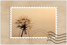 Poszterek 120x80 Pitypang Virág Virágok