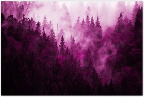 Poszterek 120x80 Tájkép Rózsa Hegyek Köd