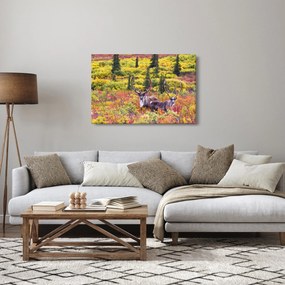 Kép - Caribou, Alaszka (90x60 cm)