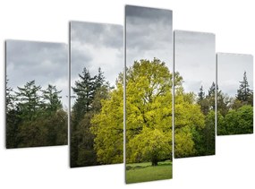 Egy zöld fa képe a mező közepén (150x105 cm)