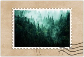 Poszterek 90x60 Erdő Köd Tájkép Utazás