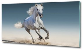 Üvegkép Fehér ló galopp osh-95257889