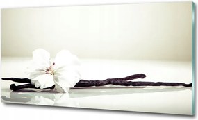 Fotó vászonkép edzett üveg Nyírfa 100x70