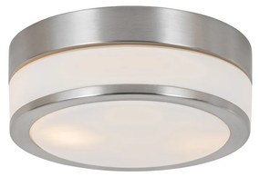 Modern kültéri mennyezeti lámpa acél 23 cm IP44 - Flavi