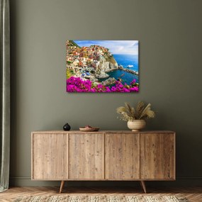 Kép - Manarola olasz falu (70x50 cm)