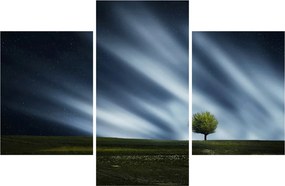 Az aurora borealis képe egy lápvidéken (90x60 cm)