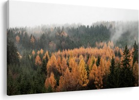 Kép - őszi erdő (90x60 cm)