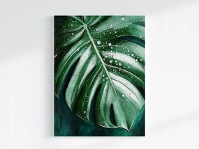 Poszter Természet Levél Monster Filodendron Víz Harmat 60x80