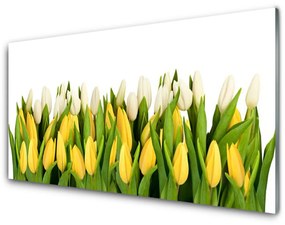 Üvegkép Tulipán virágok Plant 120x60cm 2 fogas