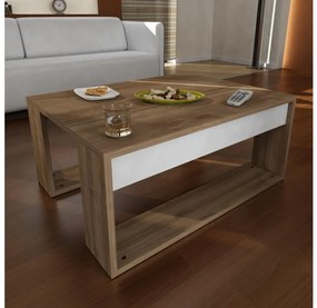 Asir Kávésasztal GORDER 35x80 cm barna/fehér AS1433