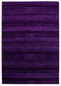 Sötétlila szőnyeg 140x200 cm Plus – Ayyildiz Carpets