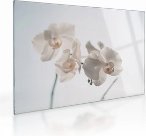 Fehér orchidea képe (üvegen) (70x50 cm)
