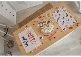 Karácsonyi szövet tányéralátét szett 2 db-os 45x35 cm Merry Blue Christmas - Butter Kings