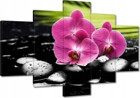 Festmények 120x80 Spa Kövek és leanderek