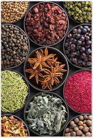 Poszterek 80x120 Fűszertartó tálak gyógynövények