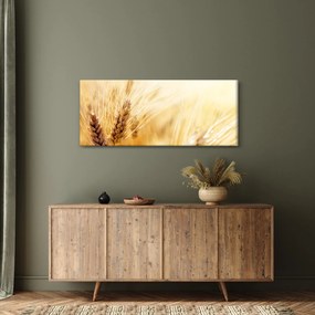 Kép - részlet gabona (120x50 cm)