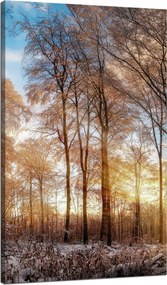 Vászonkép Fák Tél Felkelő Nap 70x120 cm