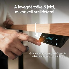 Elektromosan állítható magasságú asztal Liftor Expert, fehér