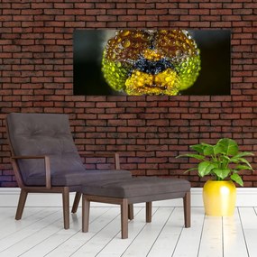 Részletes kép a rovar szemről (120x50 cm)