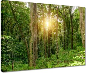 Vászonkép 40x30 Tájkép park