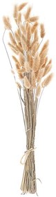 Natúr Színű Szárított Virágcsokor 58 cm SANARBIA Beliani