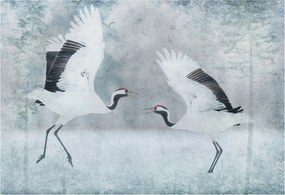 Fotótapéta Flizelin az Otthon szobájába 3D Harmonikus daruk 152x104 Ragasztó