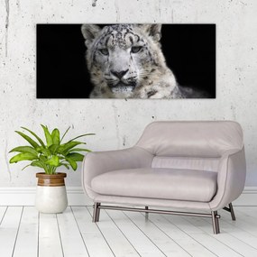 Kép - Snow Leopard (120x50 cm)