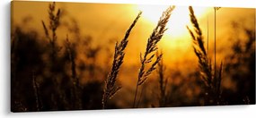 A lenyugvó nap képe (120x50 cm)