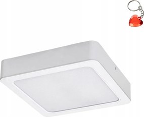 Falra szerelhető Led mennyezeti lámpatest 24W SHAUN2 71209 Rabalux