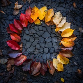 Vászonkép Canvas Kör Mandala Levelek Ősz Természet 80x80