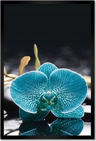Poszter keretben 40x60 Türkiz orchidea Virág