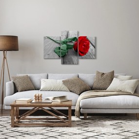Kép - Piros rózsa zöld szárral (90x60 cm)