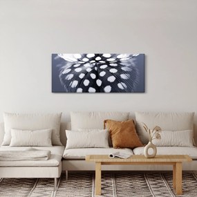 Kép - Toll (120x50 cm)