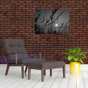 Kép - rét naplementével (70x50 cm)