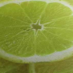 Kép - citrom szelet (120x50 cm)