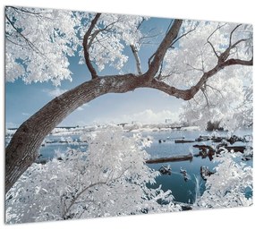 A víz mellett egy havas fa képe (70x50 cm)