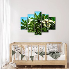 Kép - Plumeria (150x105 cm)