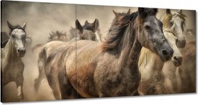 Vászonkép 60x30 Ló Lovak Lovaglás