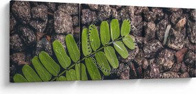 Zöld növények képe (órával) (90x30 cm)