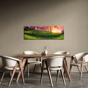 Szőlőskert és a színes égbolt képe (órával) (90x30 cm)