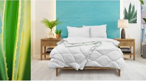 John Cotton Aloe Vera paplan, 220 x 200 cm