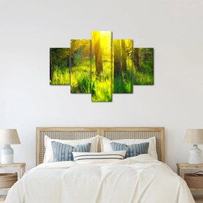 Kép - Az erdő tavaszi ébredése (150x105 cm)
