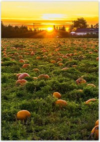 Poszterek 70x100 Tájkép Látvány