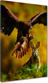 Vászonkép 80x120 Állatok