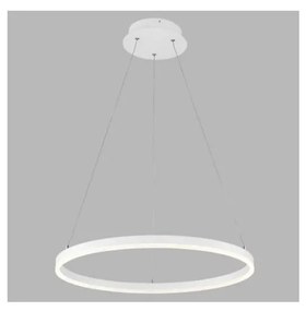 LED2 - LED Csillár zsinóron CIRCLE LED/42W/230V